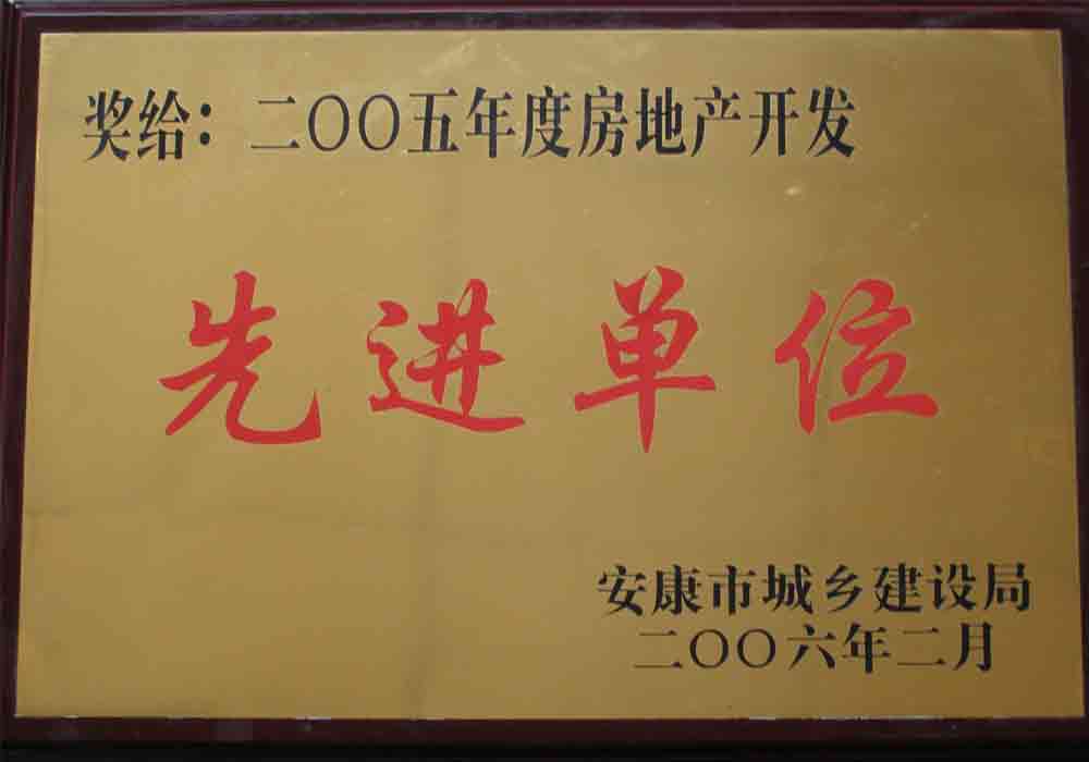 2005年度房地產(chǎn)開發(fā)先進(jìn)單位